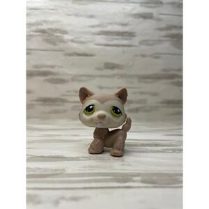 Littlest Pet Shop #358 Cream Tan Husky Dog Green Eyes Hasbro Figure LPS
